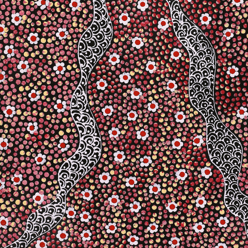 Aboriginal Art by Grace Napangardi Butcher, Pikilyi Jukurrpa (Vaughan Springs Dreaming), 61x30cm - ART ARK®