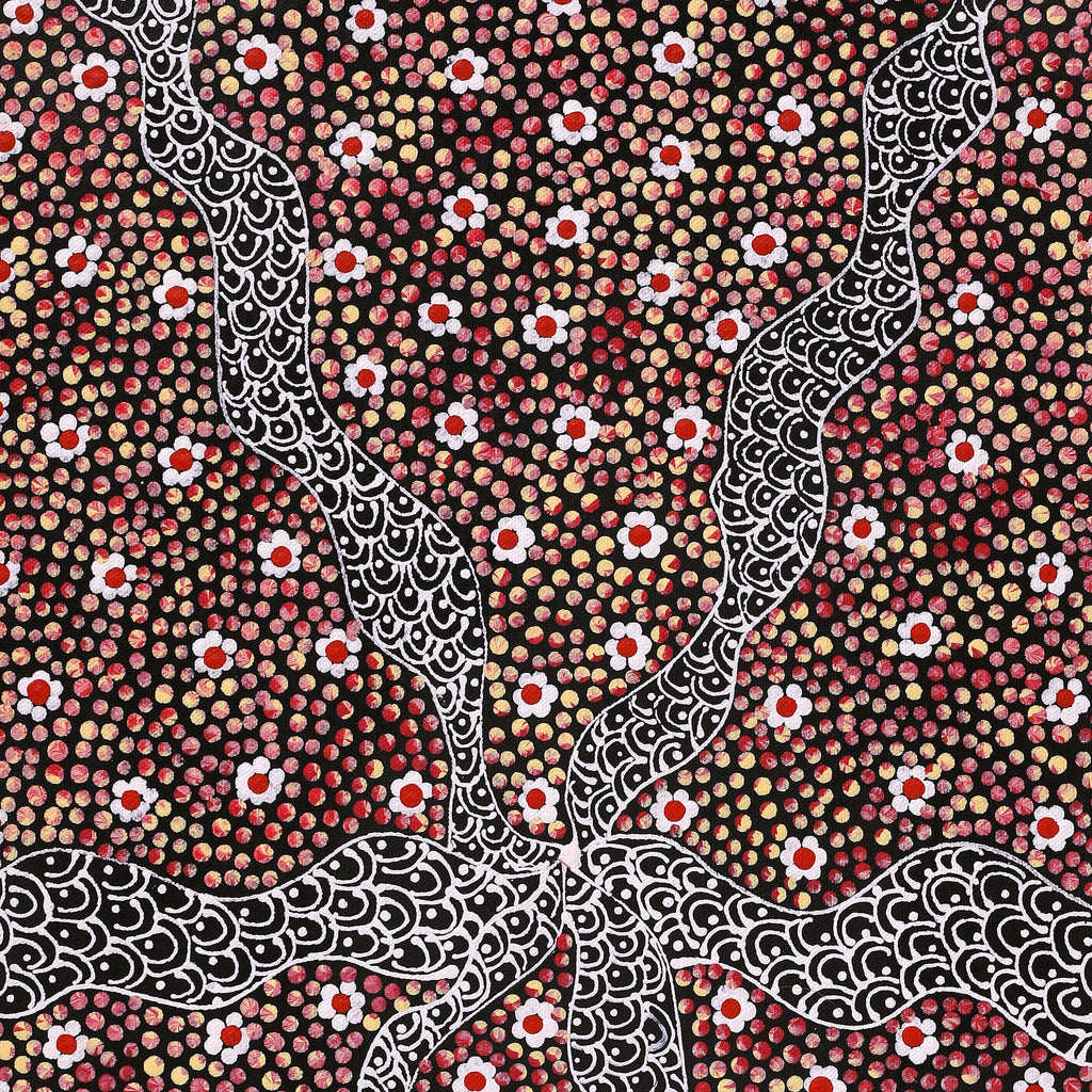 Aboriginal Artwork by Grace Napangardi Butcher, Pikilyi Jukurrpa (Vaughan Springs Dreaming), 61x30cm