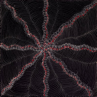 Aboriginal Artwork by Grace Napangardi Butcher, Pikilyi Jukurrpa (Vaughan Springs Dreaming), 61x61cm