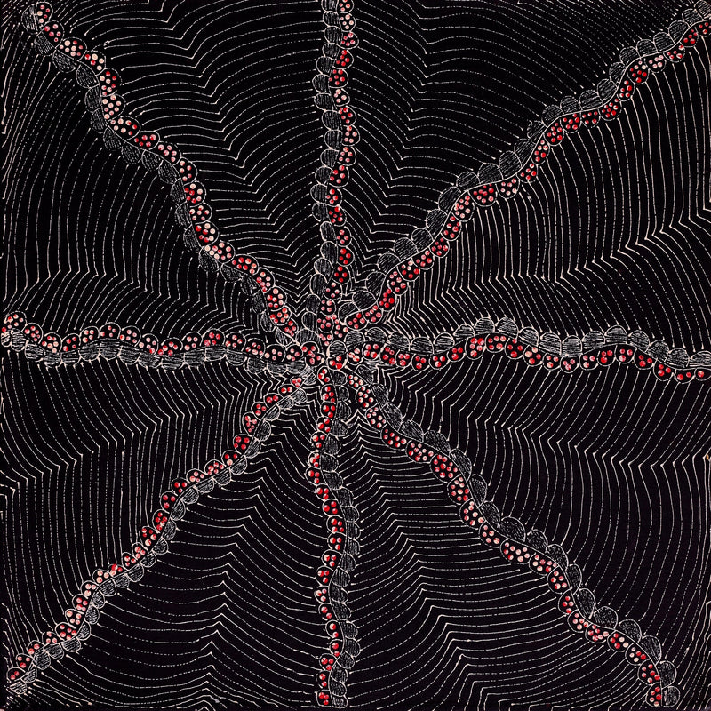 Aboriginal Artwork by Grace Napangardi Butcher, Pikilyi Jukurrpa (Vaughan Springs Dreaming), 61x61cm