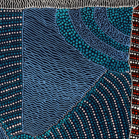 Aboriginal Artwork by Grace Napangardi Butcher, Pikilyi Jukurrpa (Vaughan Springs Dreaming), 76x61cm