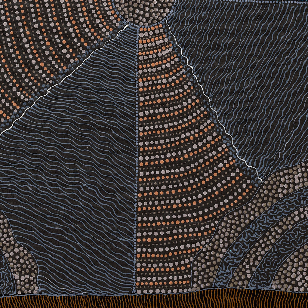 Aboriginal Artwork by Grace Napangardi Butcher, Pikilyi Jukurrpa (Vaughan Springs Dreaming), 76x61cm