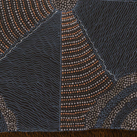 Aboriginal Artwork by Grace Napangardi Butcher, Pikilyi Jukurrpa (Vaughan Springs Dreaming), 76x61cm