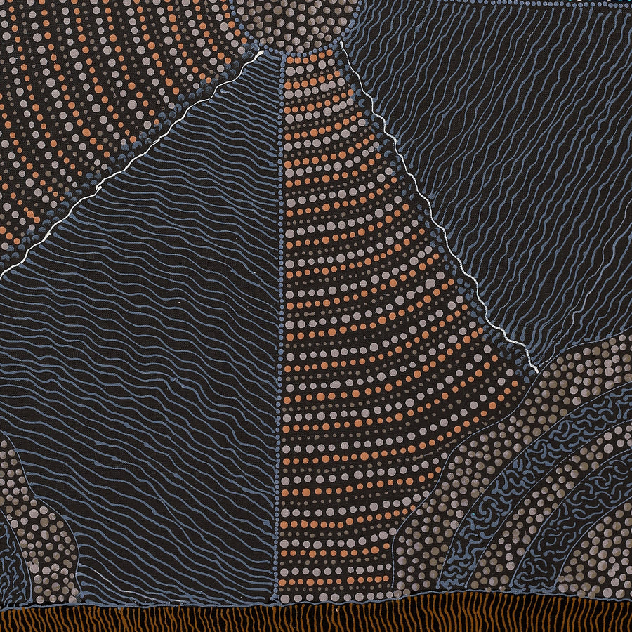 Aboriginal Artwork by Grace Napangardi Butcher, Pikilyi Jukurrpa (Vaughan Springs Dreaming), 76x61cm