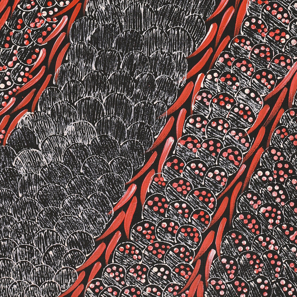 Aboriginal Artwork by Grace Napangardi Butcher, Pikilyi Jukurrpa (Vaughan Springs Dreaming), 91x30cm