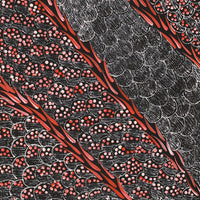 Aboriginal Artwork by Grace Napangardi Butcher, Pikilyi Jukurrpa (Vaughan Springs Dreaming), 91x30cm