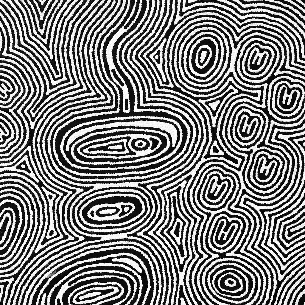 Aboriginal Artwork by Janelle Napurrurla Wilson, Janganpa Jukurrpa (Brush-tail Possum Dreaming) - Mawurrji, 107x76cm