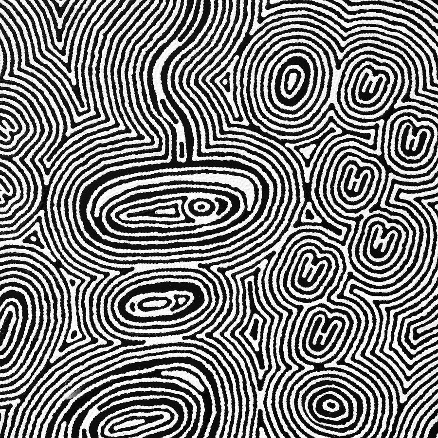 Aboriginal Artwork by Janelle Napurrurla Wilson, Janganpa Jukurrpa (Brush-tail Possum Dreaming) - Mawurrji, 107x76cm