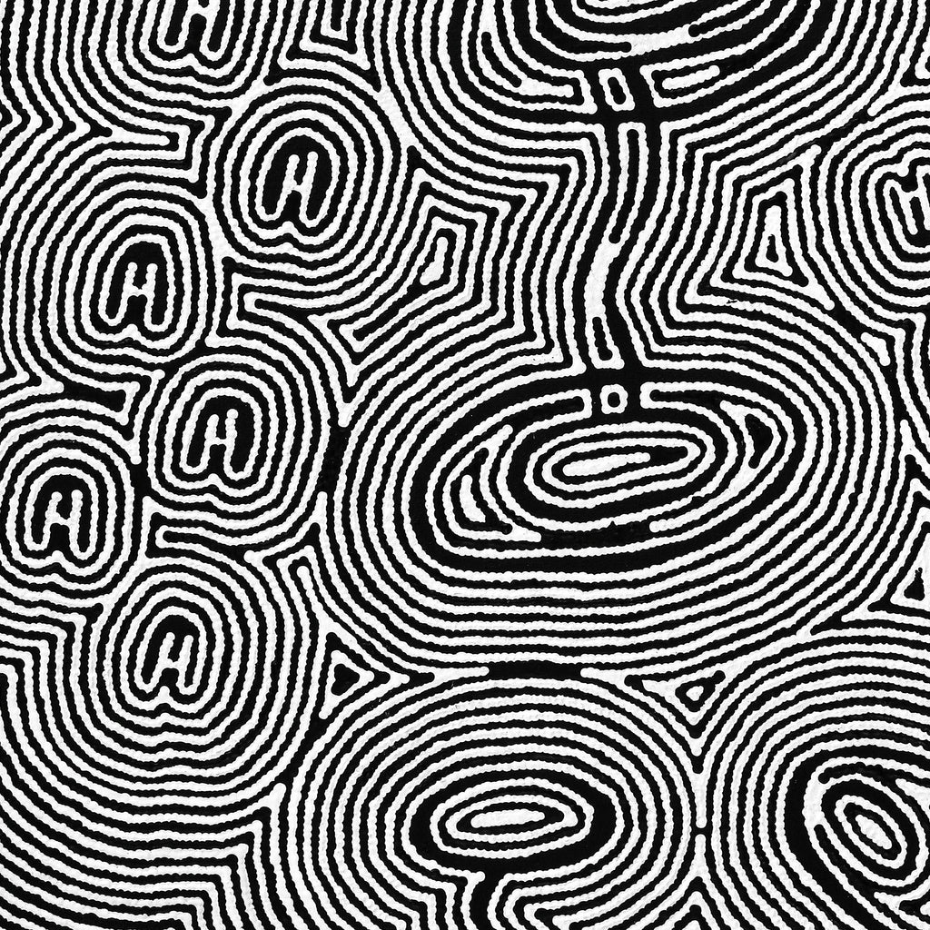 Aboriginal Artwork by Janelle Napurrurla Wilson, Janganpa Jukurrpa (Brush-tail Possum Dreaming) - Mawurrji, 107x76cm