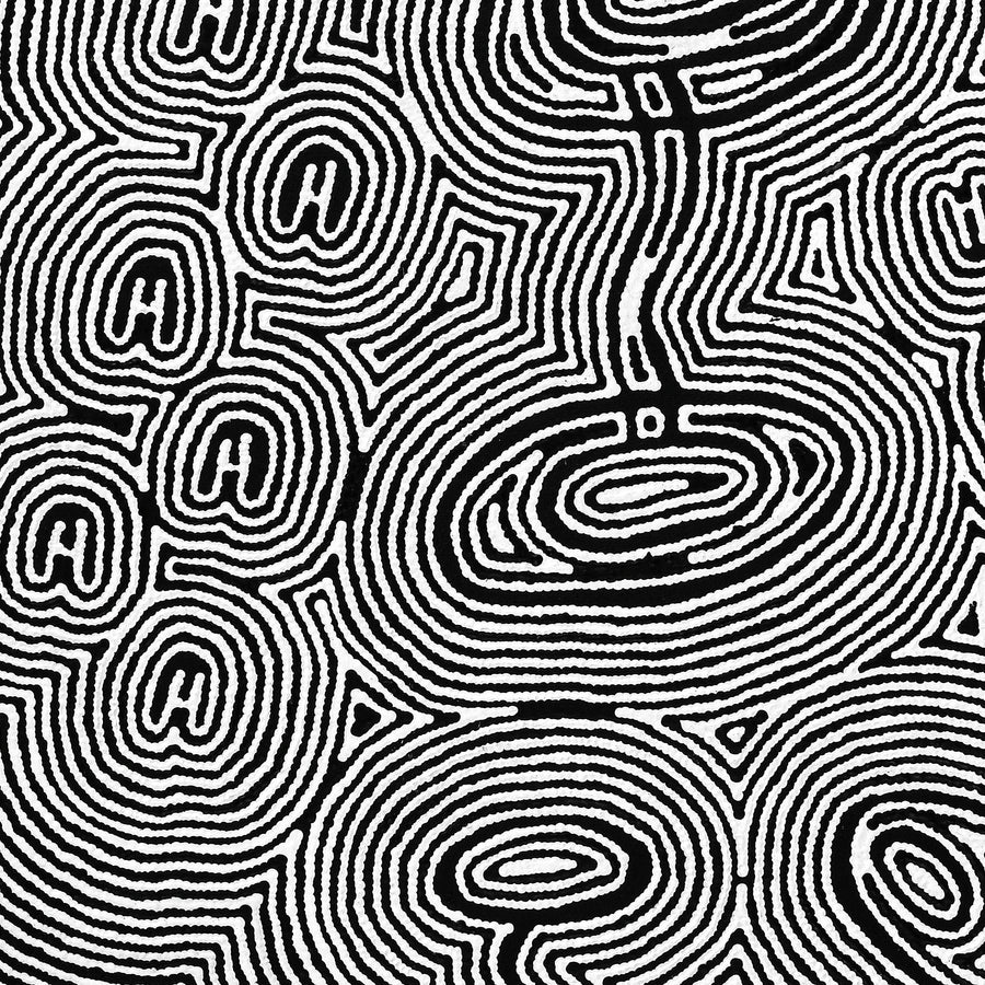 Aboriginal Artwork by Janelle Napurrurla Wilson, Janganpa Jukurrpa (Brush-tail Possum Dreaming) - Mawurrji, 107x76cm