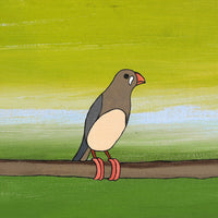 Aboriginal Artwork by Jason Japaljarri Woods, Jurlpu kuja kalu nyinami Yurntumu-wana (Birds that live around Yuendumu), 91x30cm