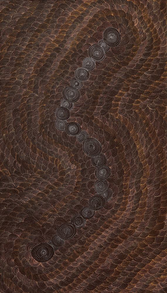 Aboriginal Artwork by Jason Japaljarri Woods, Watiya-warnu Jukurrpa (Seed Dreaming), 107x61cm