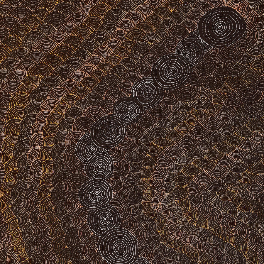Aboriginal Artwork by Jason Japaljarri Woods, Watiya-warnu Jukurrpa (Seed Dreaming), 107x61cm