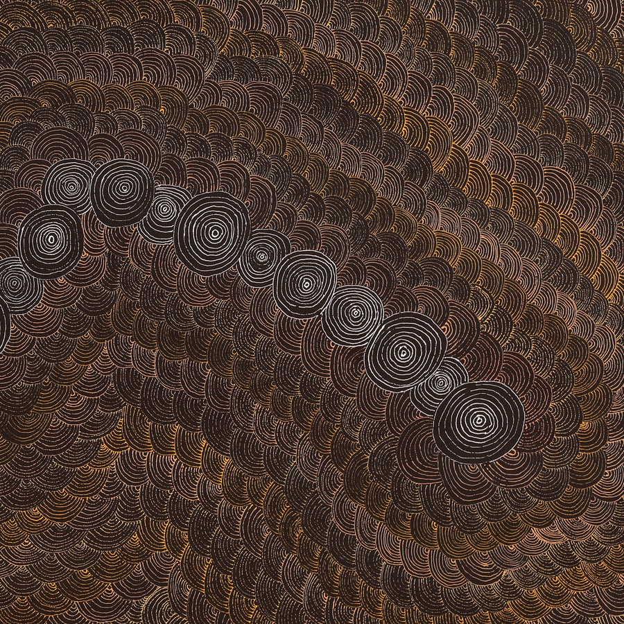 Aboriginal Artwork by Jason Japaljarri Woods, Watiya-warnu Jukurrpa (Seed Dreaming), 107x61cm