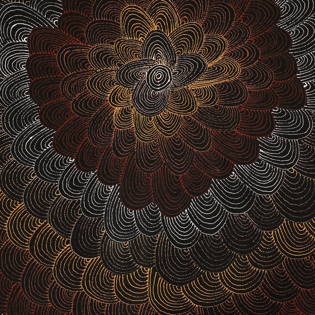 Aboriginal Artwork by Jason Japaljarri Woods, Watiya-warnu Jukurrpa (Seed Dreaming), 76x46cm