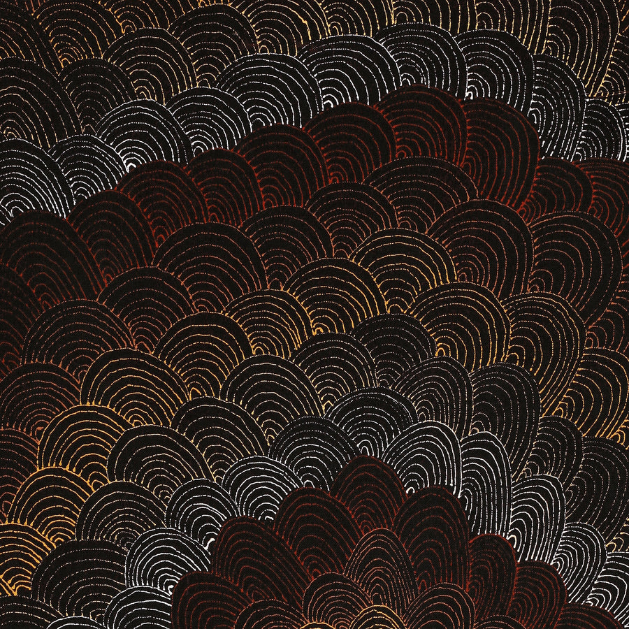 Aboriginal Artwork by Jason Japaljarri Woods, Watiya-warnu Jukurrpa (Seed Dreaming), 76x46cm