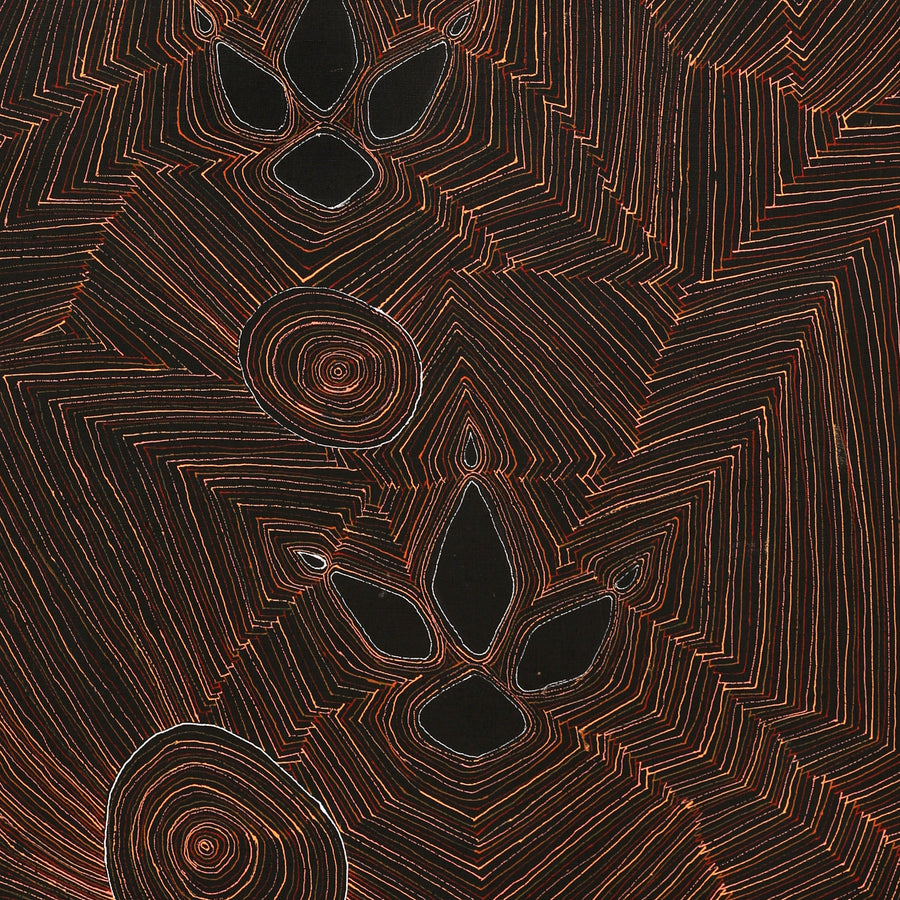 Aboriginal Artwork by Jason Japaljarri Woods, Yankirri Jukurrpa (Emu Dreaming) - Ngarlikirlangu, 122x61cm