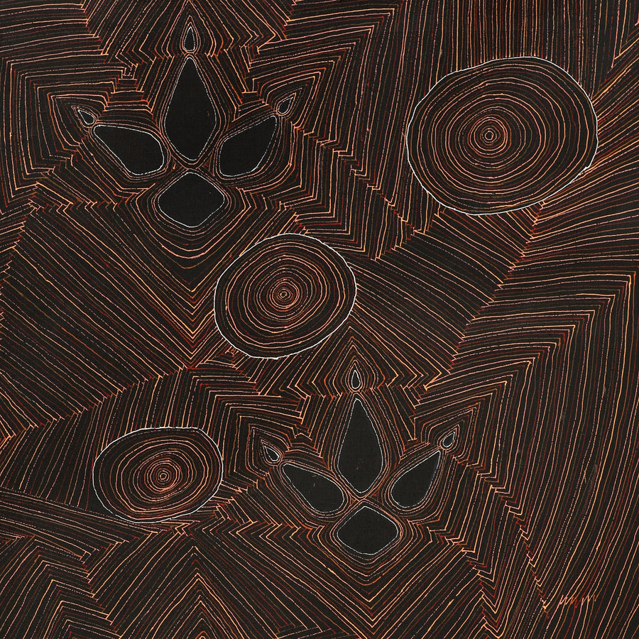 Aboriginal Artwork by Jason Japaljarri Woods, Yankirri Jukurrpa (Emu Dreaming) - Ngarlikirlangu, 122x61cm