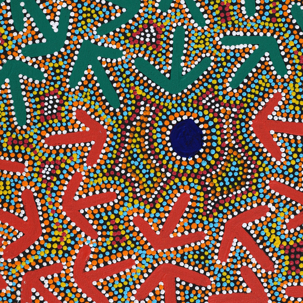 Aboriginal Artwork by Jeffrey Jangala Gallagher, Yankirri Jukurrpa (Emu Dreaming) - Ngarlikurlangu, 61x46cm