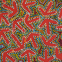 Aboriginal Artwork by Jeffrey Jangala Gallagher, Yankirri Jukurrpa (Emu Dreaming) - Ngarlikurlangu, 61x46cm