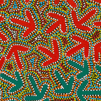 Aboriginal Artwork by Jeffrey Jangala Gallagher, Yankirri Jukurrpa (Emu Dreaming) - Ngarlikurlangu, 76x46cm