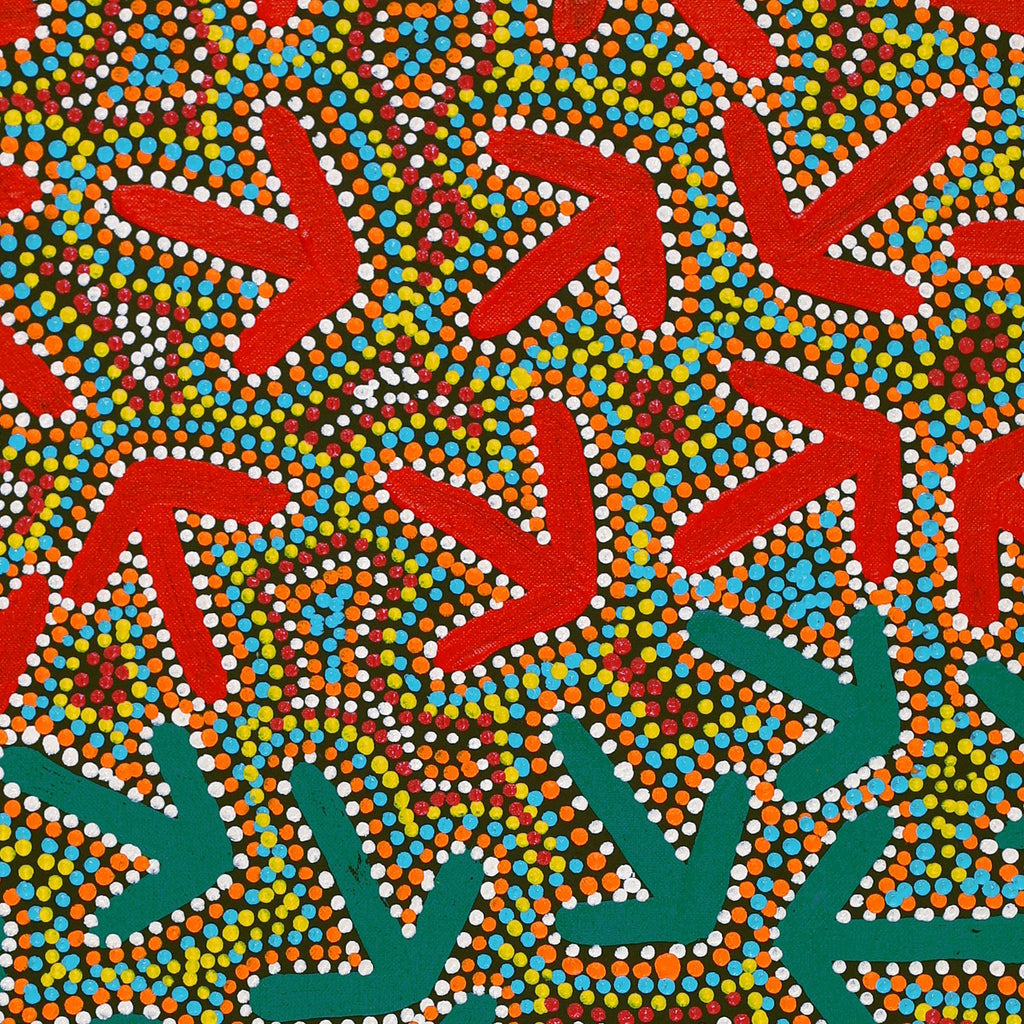 Aboriginal Artwork by Jeffrey Jangala Gallagher, Yankirri Jukurrpa (Emu Dreaming) - Ngarlikurlangu, 76x46cm - ART ARK®