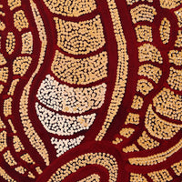 Aboriginal Artwork by Judith Nungarrayi Martin, Janganpa Jukurrpa (Brush-tail Possum Dreaming) - Mawurrji, 107x30cm