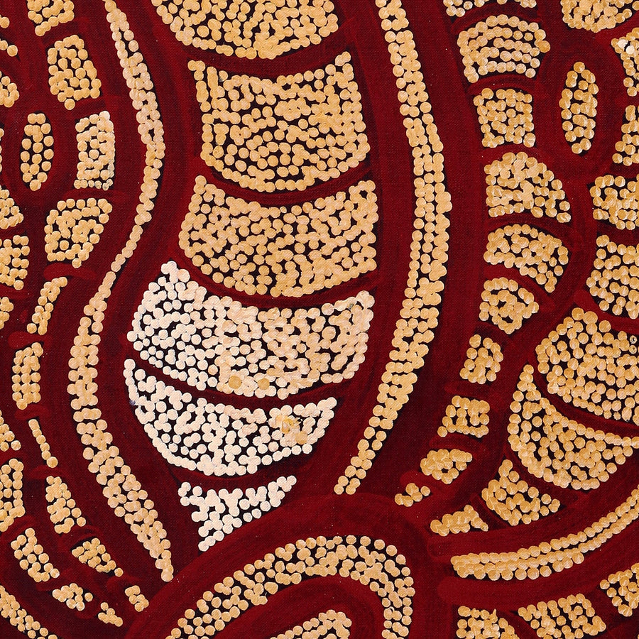 Aboriginal Artwork by Judith Nungarrayi Martin, Janganpa Jukurrpa (Brush-tail Possum Dreaming) - Mawurrji, 107x30cm