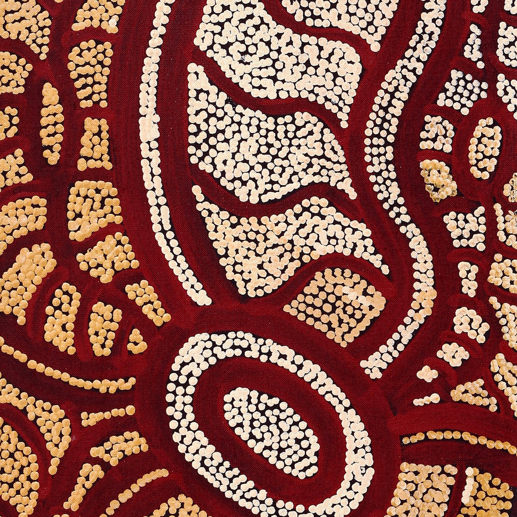 Aboriginal Artwork by Judith Nungarrayi Martin, Janganpa Jukurrpa (Brush-tail Possum Dreaming) - Mawurrji, 107x30cm