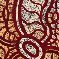 Aboriginal Artwork by Judith Nungarrayi Martin, Janganpa Jukurrpa (Brush-tail Possum Dreaming) - Mawurrji, 107x30cm