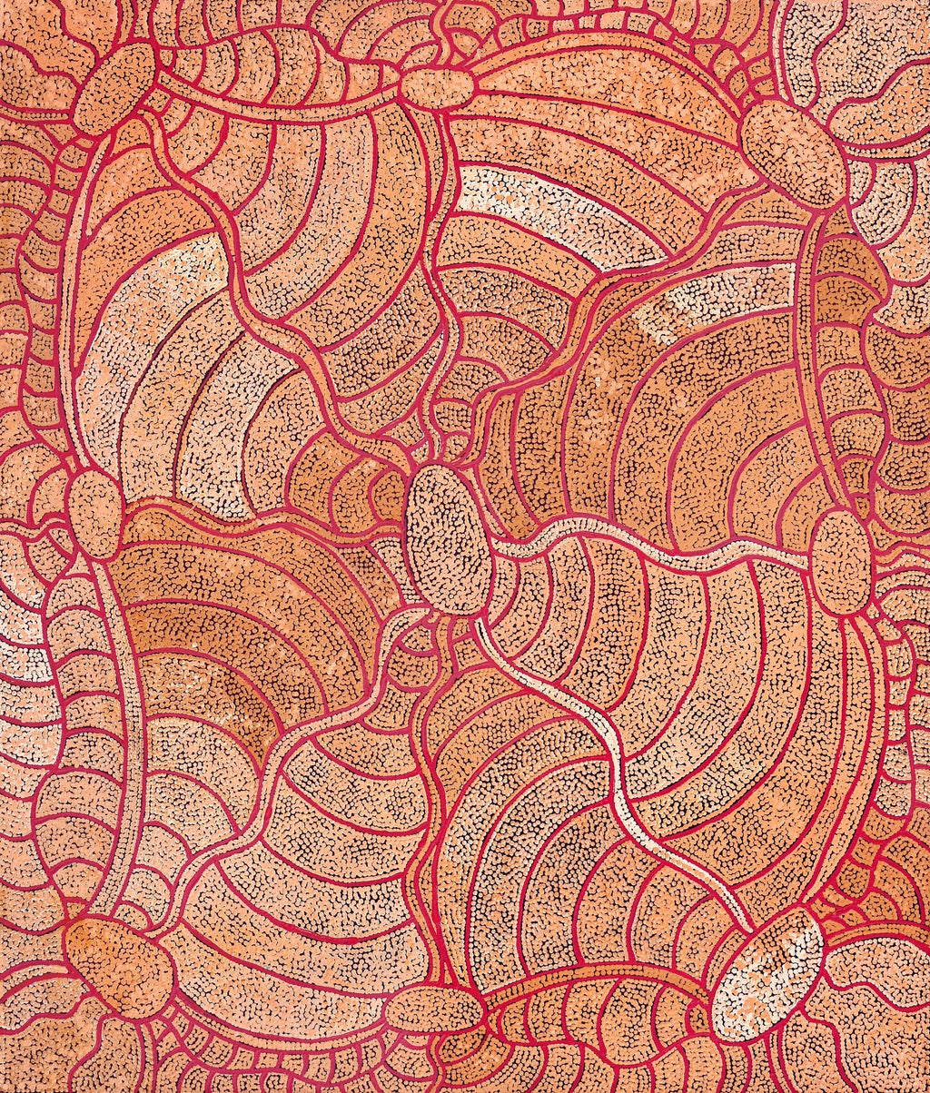 Aboriginal Artwork by Judith Nungarrayi Martin, Janganpa Jukurrpa (Brush-tail Possum Dreaming) - Mawurrji, 107x91cm