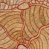 Aboriginal Artwork by Judith Nungarrayi Martin, Janganpa Jukurrpa (Brush-tail Possum Dreaming) - Mawurrji, 107x91cm