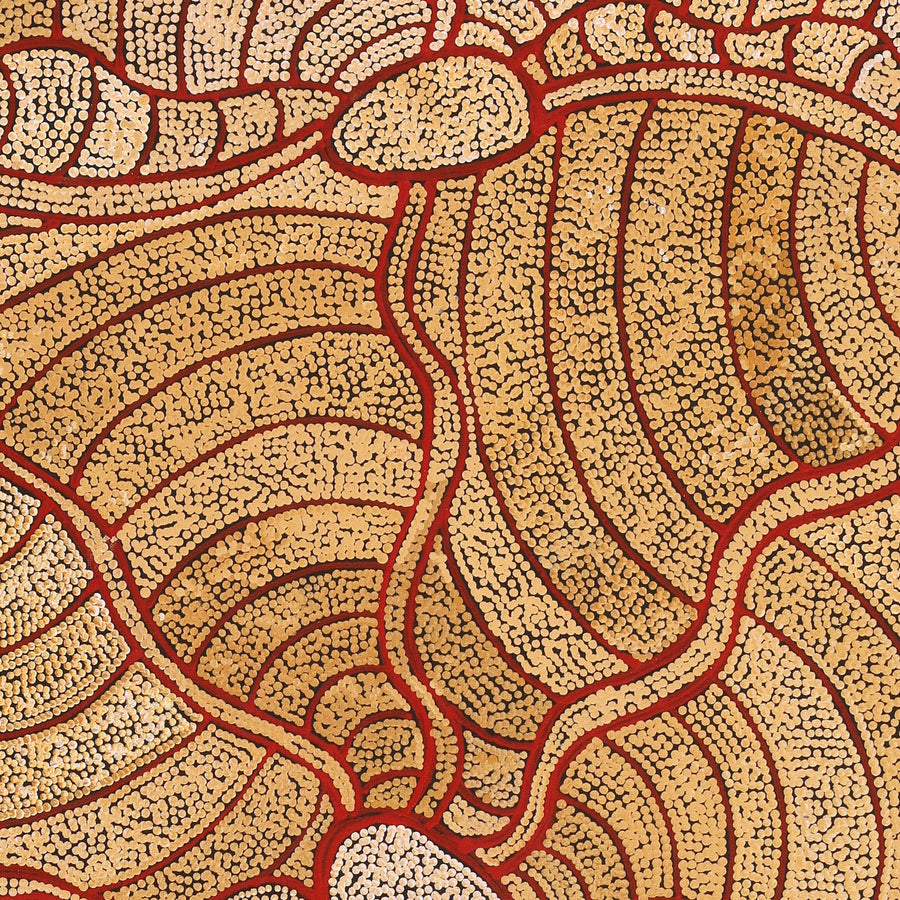 Aboriginal Artwork by Judith Nungarrayi Martin, Janganpa Jukurrpa (Brush-tail Possum Dreaming) - Mawurrji, 107x91cm