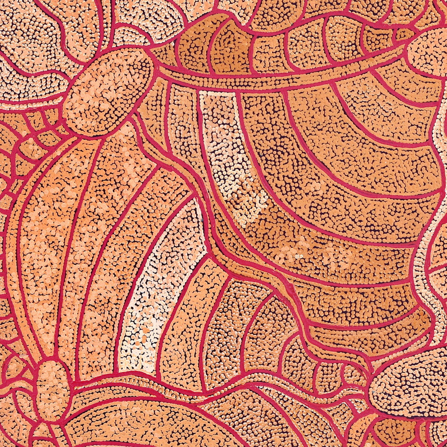 Aboriginal Artwork by Judith Nungarrayi Martin, Janganpa Jukurrpa (Brush-tail Possum Dreaming) - Mawurrji, 107x91cm