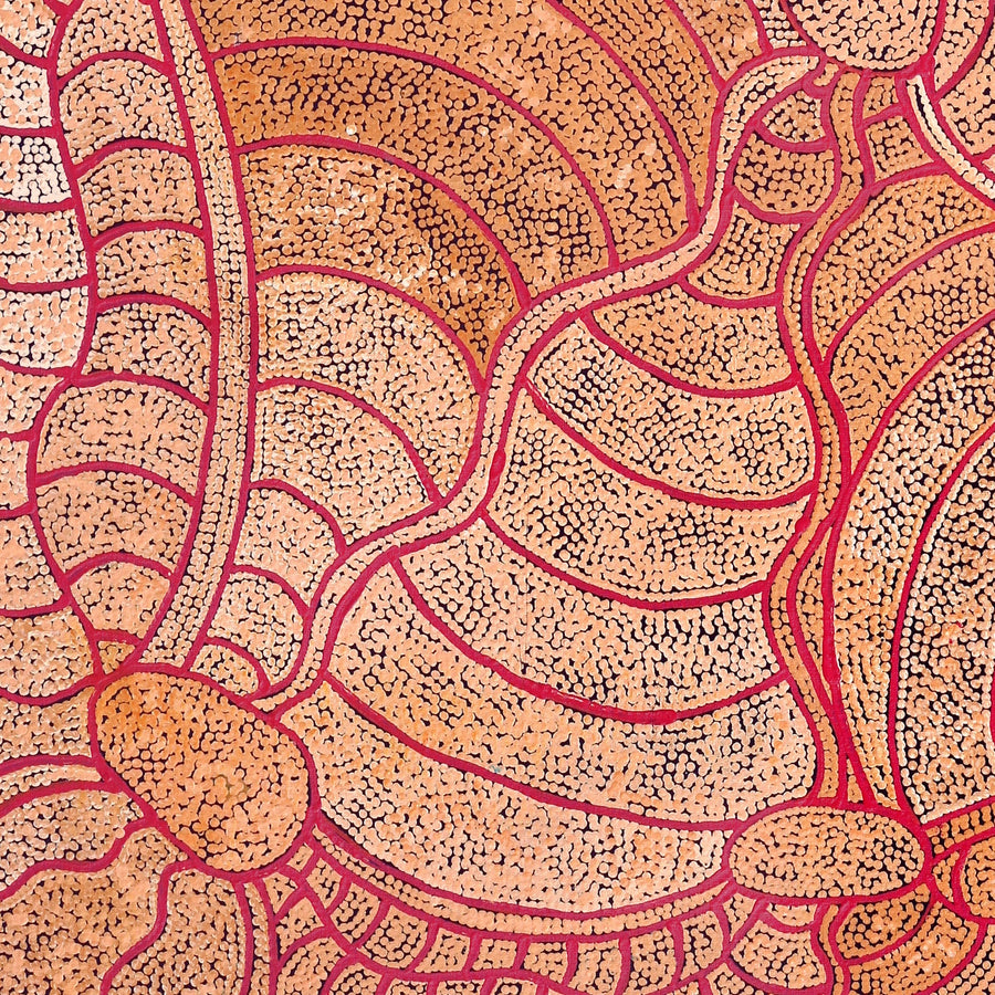 Aboriginal Artwork by Judith Nungarrayi Martin, Janganpa Jukurrpa (Brush-tail Possum Dreaming) - Mawurrji, 107x91cm