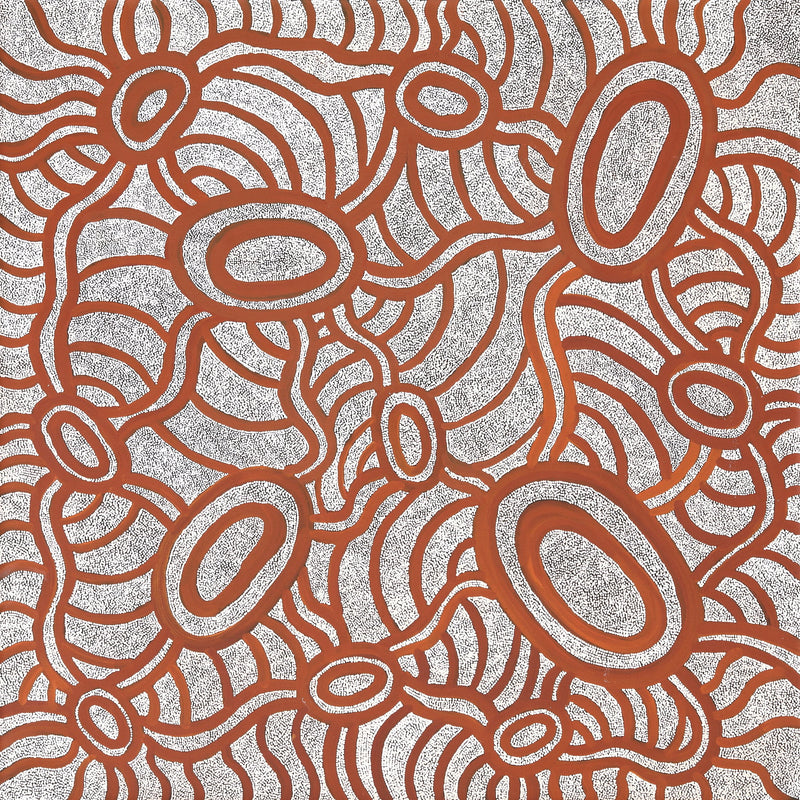 Aboriginal Art by Judith Nungarrayi Martin, Janganpa Jukurrpa (Brush-tail Possum Dreaming) - Mawurrji, 122x122cm - ART ARK®