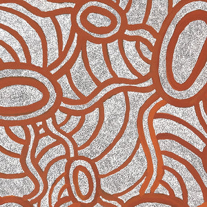 Aboriginal Artwork by Judith Nungarrayi Martin, Janganpa Jukurrpa (Brush-tail Possum Dreaming) - Mawurrji, 122x122cm - ART ARK®