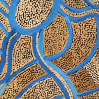 Aboriginal Artwork by Judith Nungarrayi Martin, Janganpa Jukurrpa (Brush-tail Possum Dreaming) - Mawurrji, 122x76cm