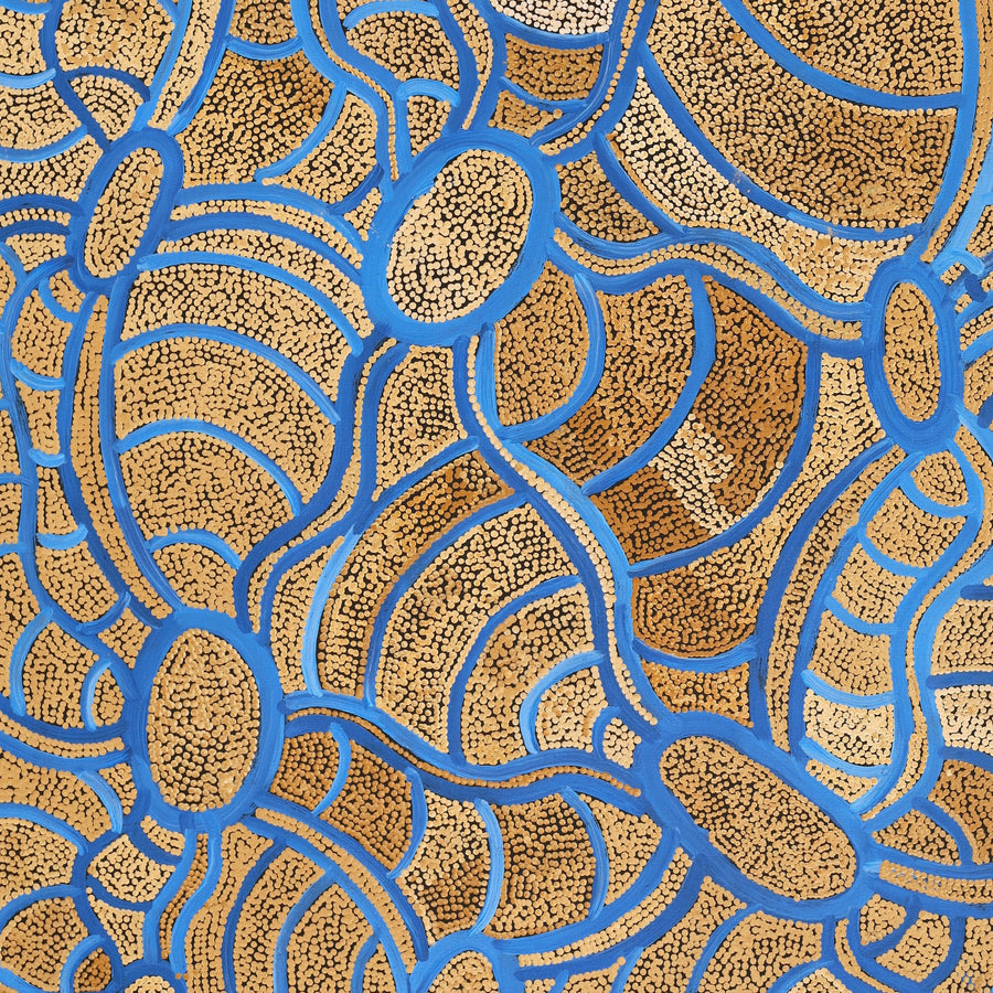 Aboriginal Artwork by Judith Nungarrayi Martin, Janganpa Jukurrpa (Brush-tail Possum Dreaming) - Mawurrji, 122x76cm