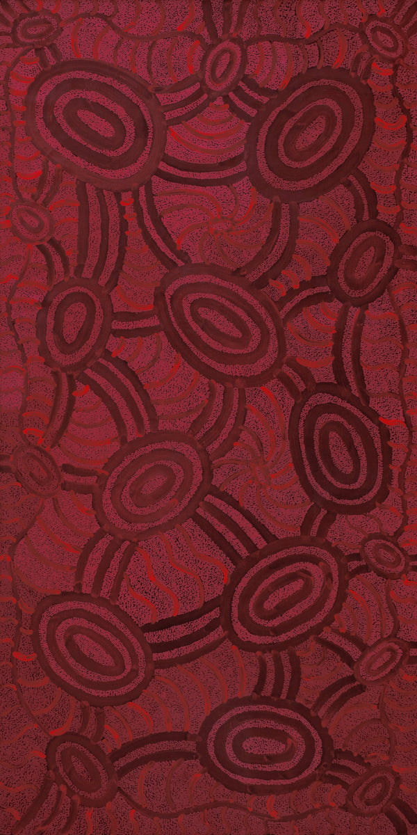 Aboriginal Art by Judith Nungarrayi Martin, Janganpa Jukurrpa (Brush-tail Possum Dreaming) - Mawurrji, 182x91cm - ART ARK®