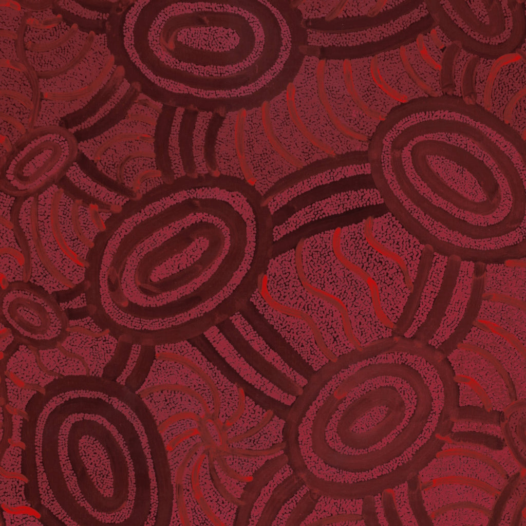 Aboriginal Art by Judith Nungarrayi Martin, Janganpa Jukurrpa (Brush-tail Possum Dreaming) - Mawurrji, 182x91cm - ART ARK®