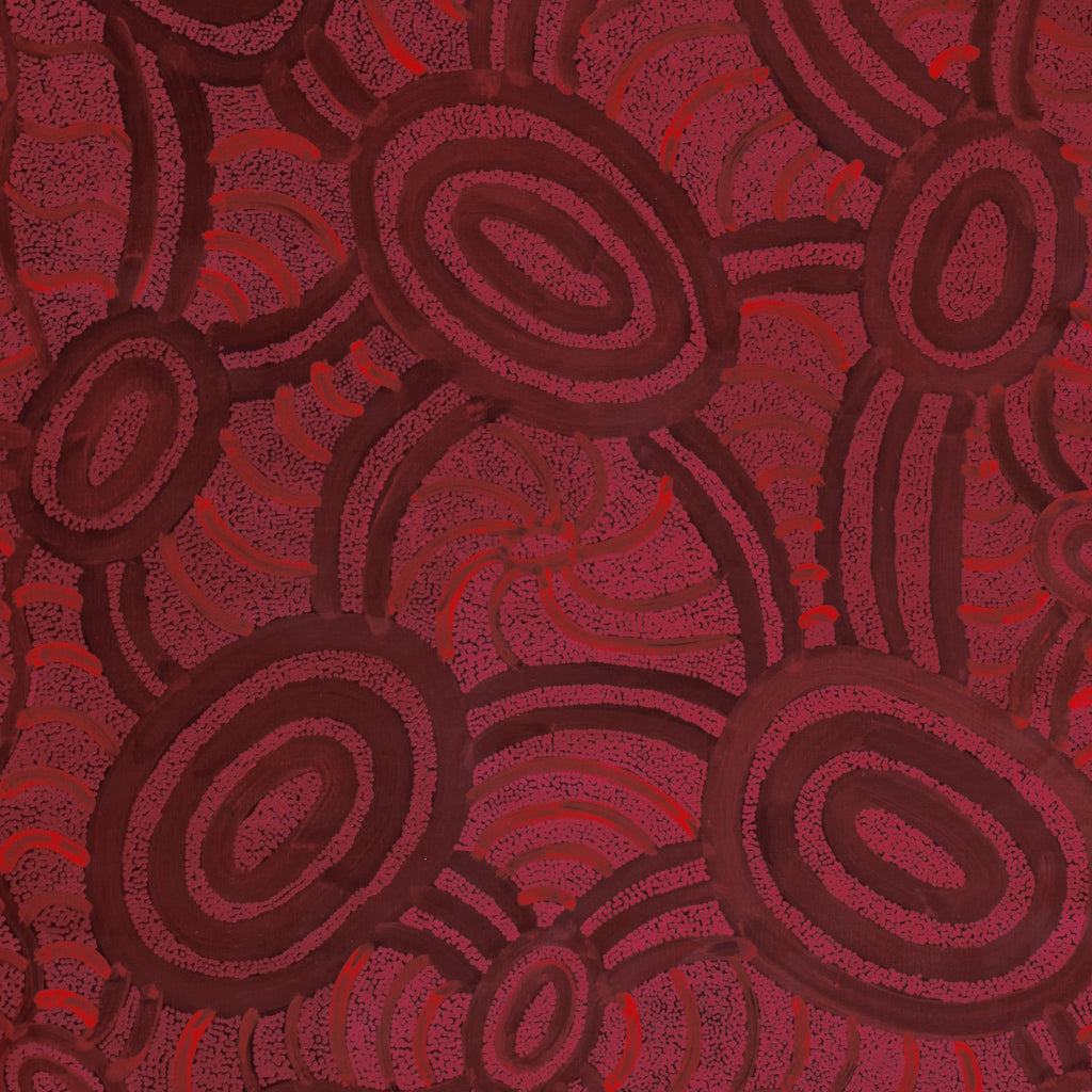 Aboriginal Artwork by Judith Nungarrayi Martin, Janganpa Jukurrpa (Brush-tail Possum Dreaming) - Mawurrji, 182x91cm