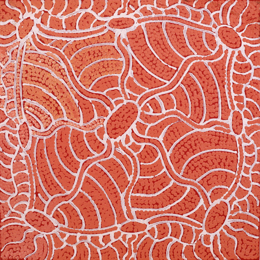 Aboriginal Artwork by Judith Nungarrayi Martin, Janganpa Jukurrpa (Brush-tail Possum Dreaming) - Mawurrji, 30x30cm