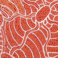 Aboriginal Artwork by Judith Nungarrayi Martin, Janganpa Jukurrpa (Brush-tail Possum Dreaming) - Mawurrji, 30x30cm