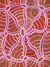 Aboriginal Artwork by Judith Nungarrayi Martin, Janganpa Jukurrpa (Brush-tail Possum Dreaming) - Mawurrji, 61x46cm