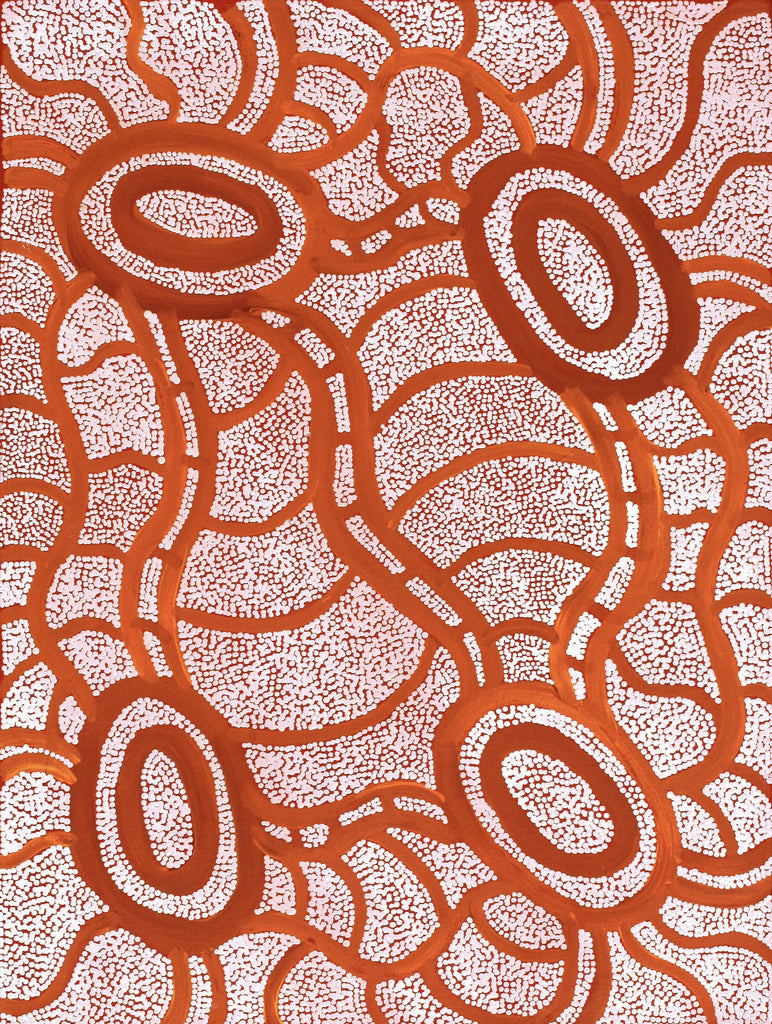 Aboriginal Artwork by Judith Nungarrayi Martin, Janganpa Jukurrpa (Brush-tail Possum Dreaming) - Mawurrji, 61x46cm