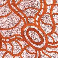 Aboriginal Artwork by Judith Nungarrayi Martin, Janganpa Jukurrpa (Brush-tail Possum Dreaming) - Mawurrji, 61x46cm