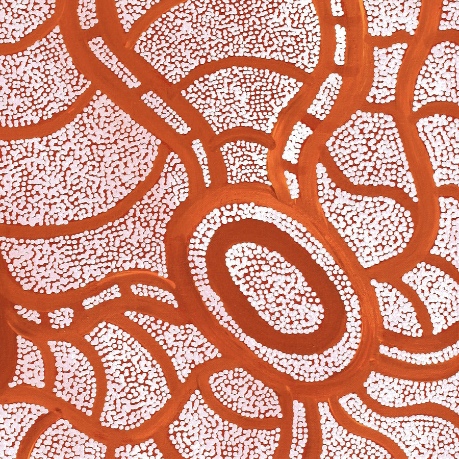 Aboriginal Artwork by Judith Nungarrayi Martin, Janganpa Jukurrpa (Brush-tail Possum Dreaming) - Mawurrji, 61x46cm