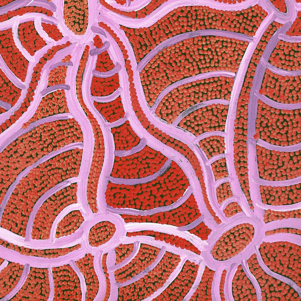 Aboriginal Artwork by Judith Nungarrayi Martin, Janganpa Jukurrpa (Brush-tail Possum Dreaming) - Mawurrji, 61x46cm
