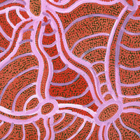 Aboriginal Artwork by Judith Nungarrayi Martin, Janganpa Jukurrpa (Brush-tail Possum Dreaming) - Mawurrji, 61x46cm